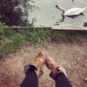 Meet your Posher, Donna